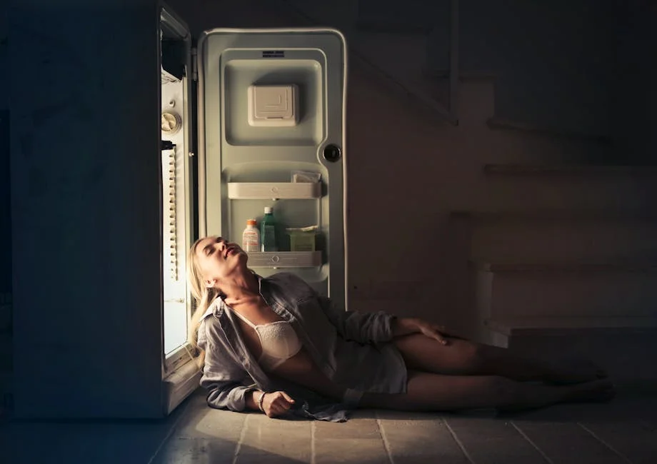 12V Fridge Freezer Buyer's Guide: Features Compared