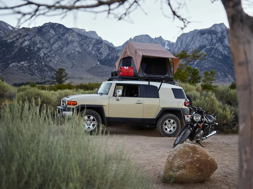 Portable Refrigerator for Camping: Buyer's Guide