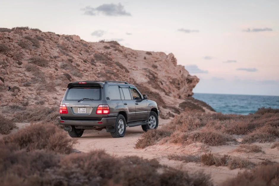 Thule Truck Bed Bike Rack Buyer's Guide: Top 5 Picks